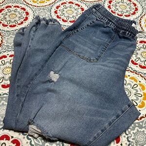 Lane Bryant drawstring elastic waist and elastic bands at ankles  size 16.